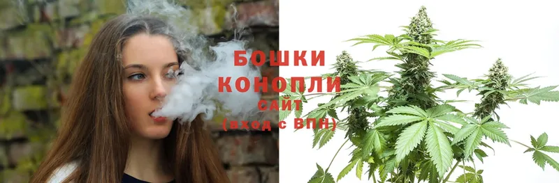 Бошки Шишки OG Kush  мега tor  Бокситогорск  наркошоп 